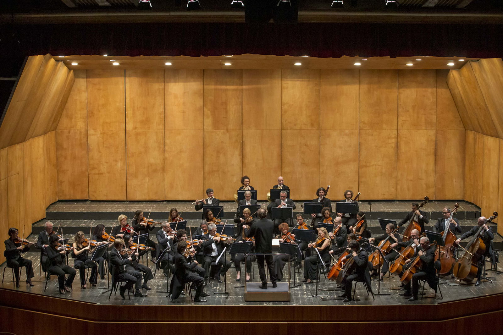 Immagini di FONDAZIONE HAYDN DI BOLZANO E TRENTO