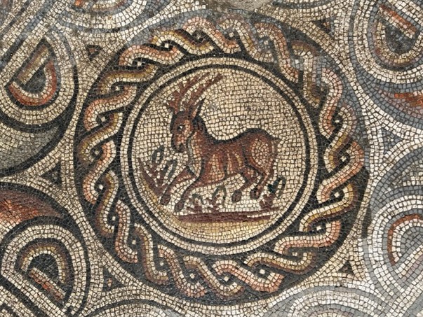 Immagini di Villa Romana dei Mosaici