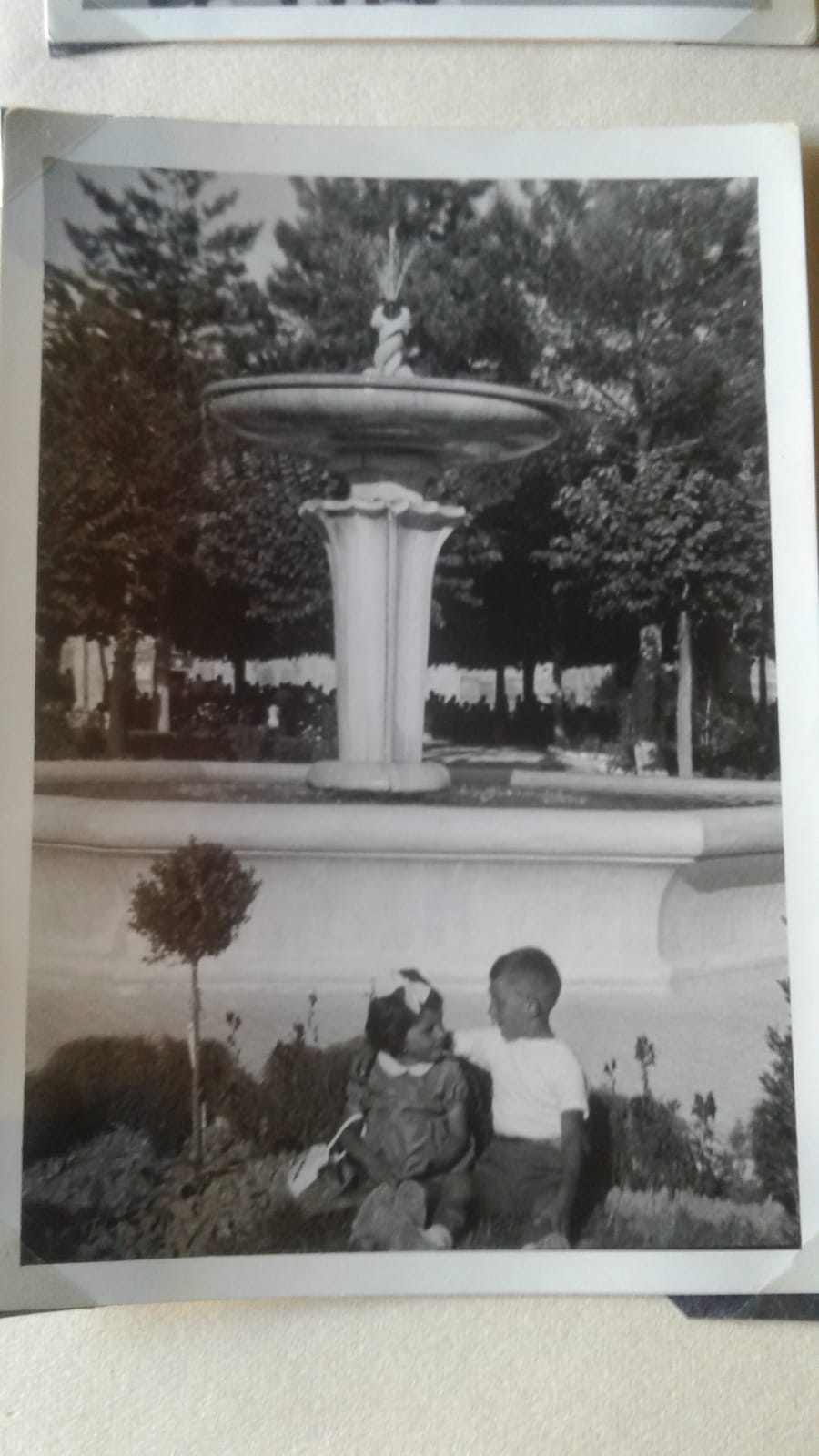 Immagini di Fontana pubblica dei giardini comunali