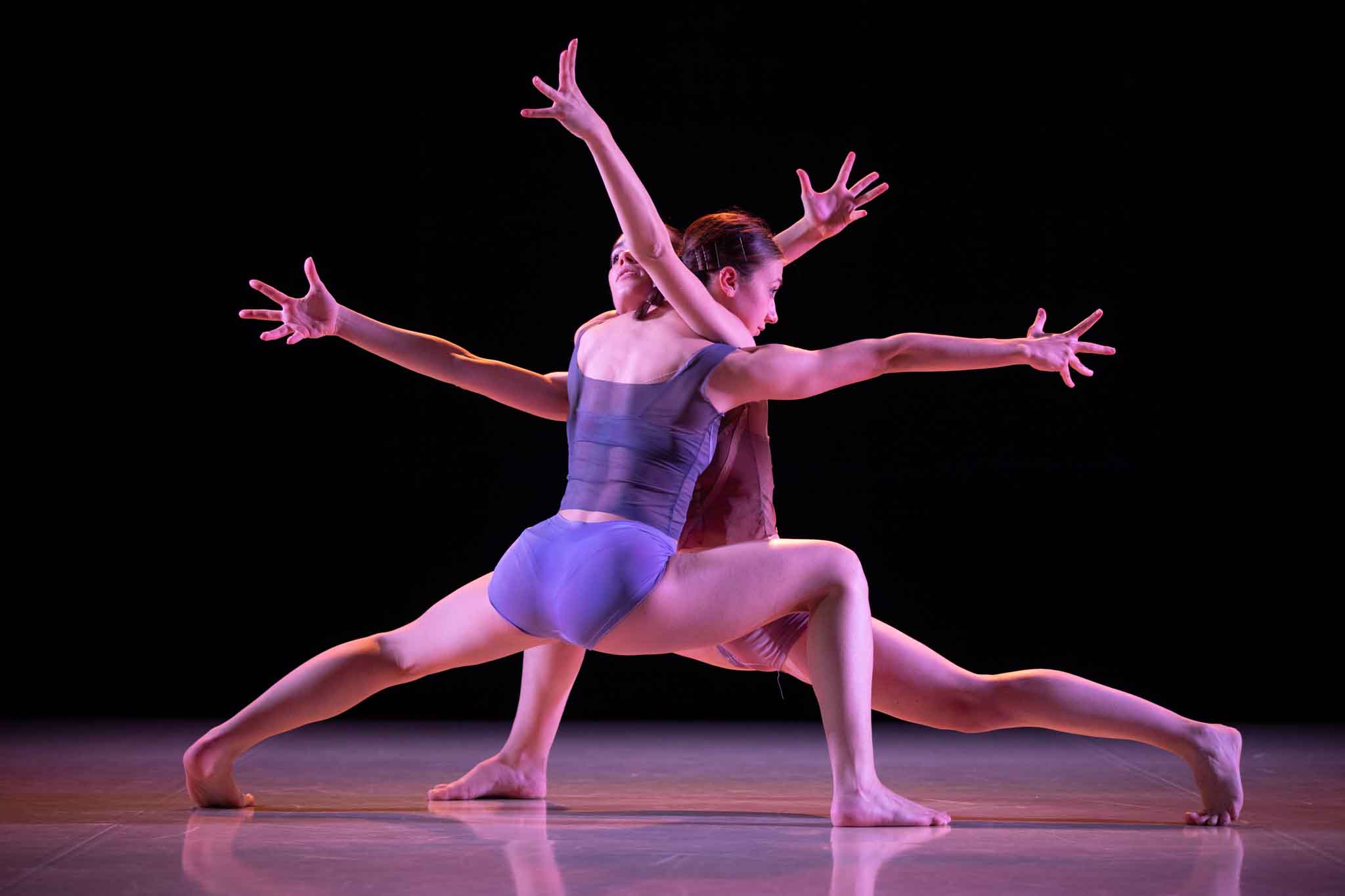 Immagini di Associazione Culturale Balletto di Firenze