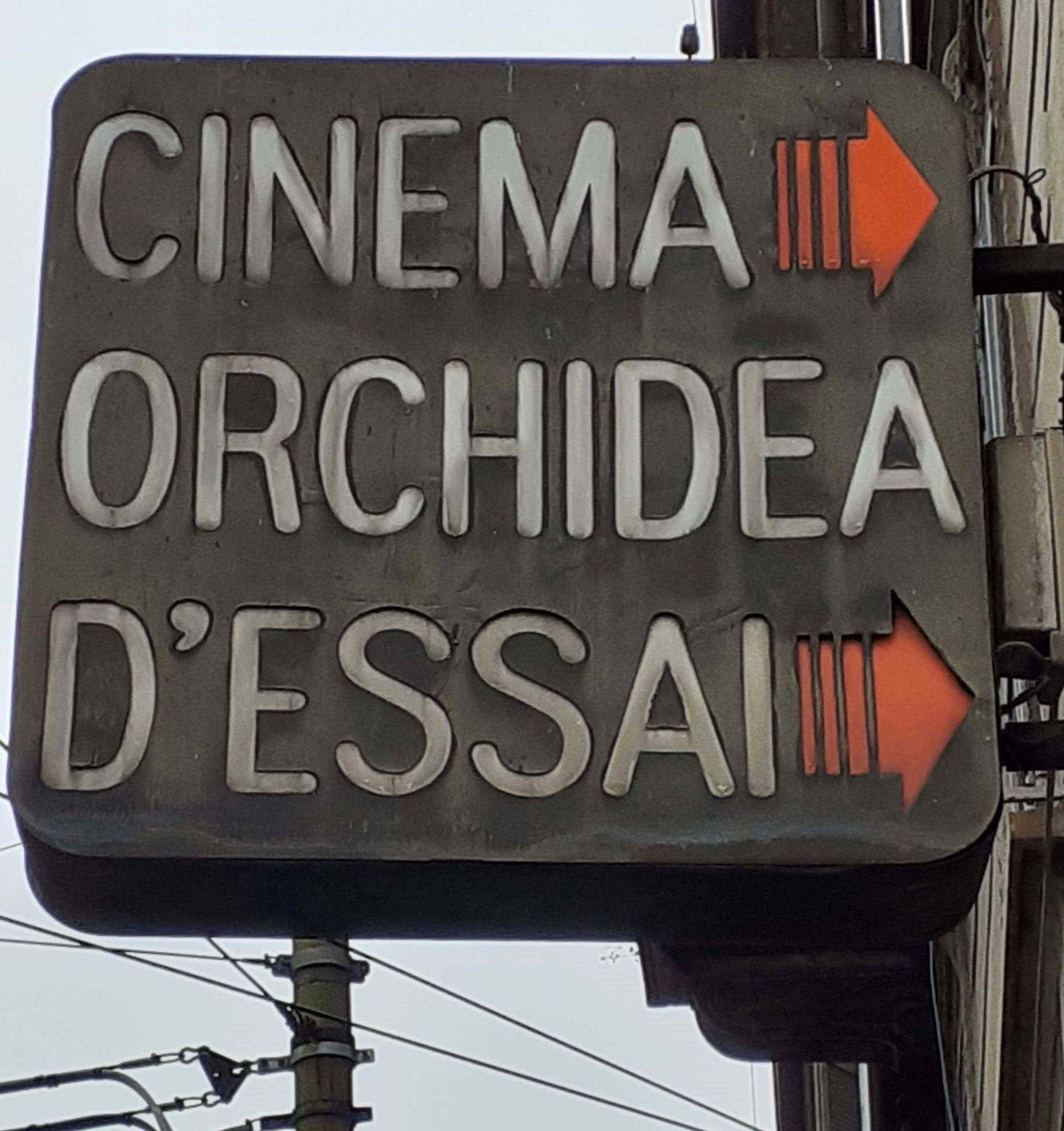 Immagini di Cinema Orchidea