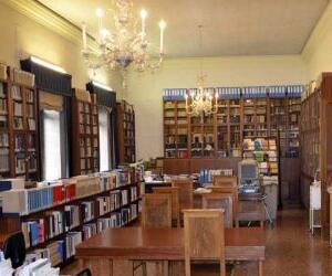 Accademia Olimpica - Sostegno Biblioteca dell'Accademia 2024