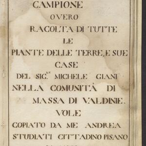 Comune di Massa e Cozzile - Digitalizzazione Archivio storico comunale