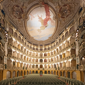 Fondazione Teatro Fraschini - Restauro palchi