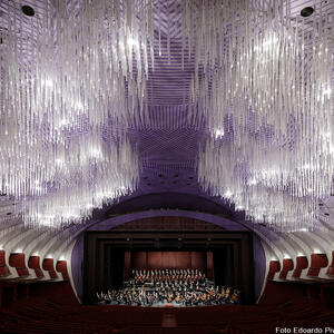 Fondazione Teatro Regio di Torino - Regio 50. Un compleanno lungo un anno