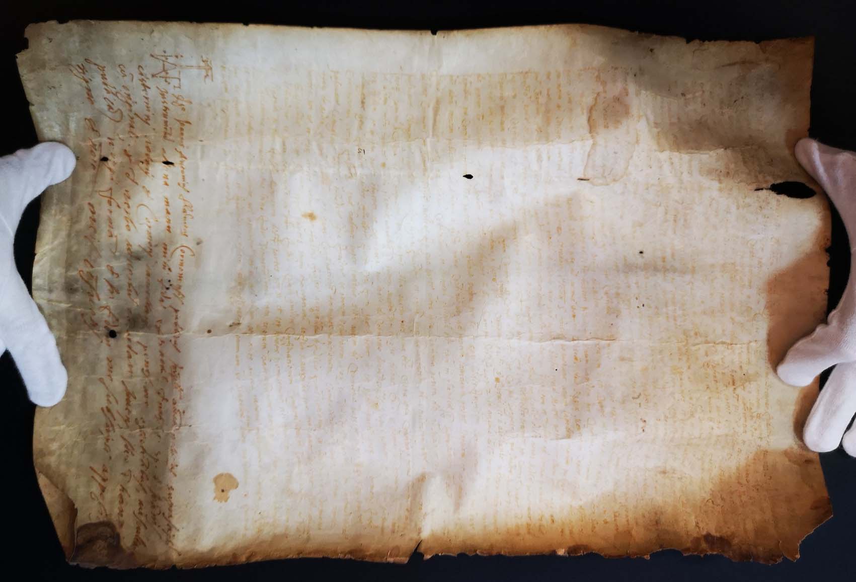 Immagini di Restauro di tre pergamene di Chiopris - Archivio di Stato di Trieste