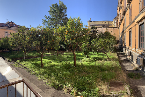 Immagini di Rifioriscono i giardini storici del monastero dei Santi Severino e Sossio
