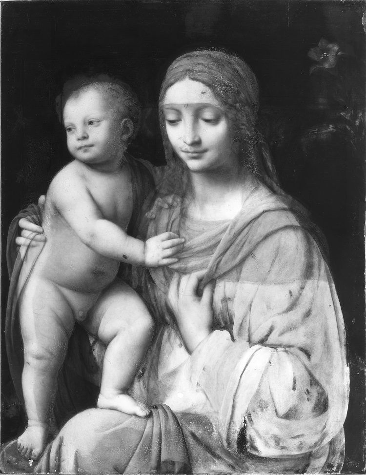 Immagini di Restauro del dipinto Madonna col Bambino di Bernardino Luini